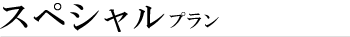 スペシャルプラン