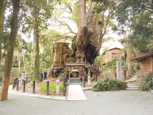 来宮神社